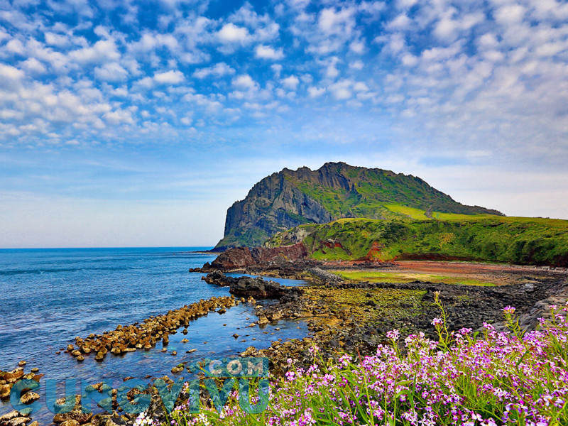TOUR 6N5Đ: SEOUL - JEJU - NAMI - CỎ HỒNG - DU THUYỀN JEJU